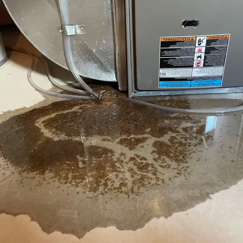 Pipe Burst and Leak Restoration in Francestown, NH